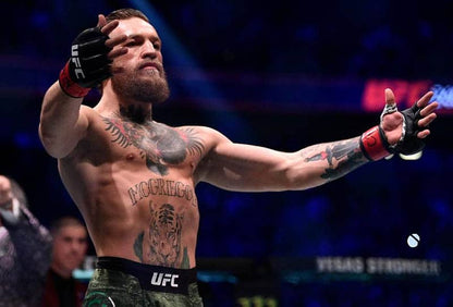 🥊Vencer o aprender: La biografía digital de Conor McGregor – Edición traducida al español